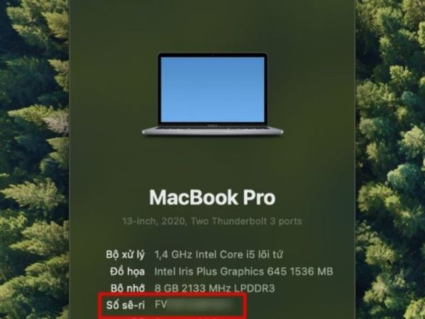 Hướng dẫn check serial MacBook để xác minh hàng chính hãng dễ dàng