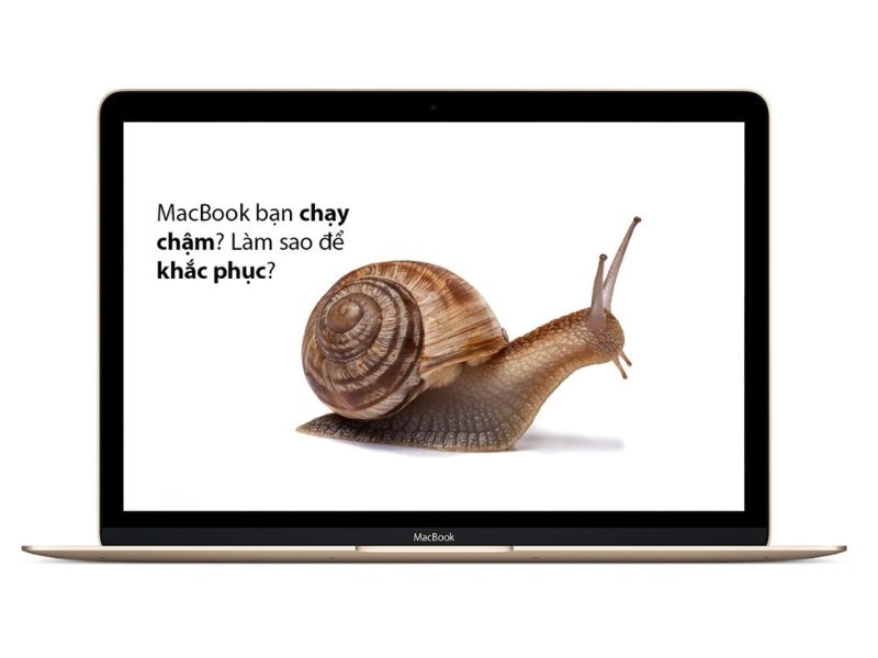 Cách reset SMC trên Macbook đơn giản và hiệu quả