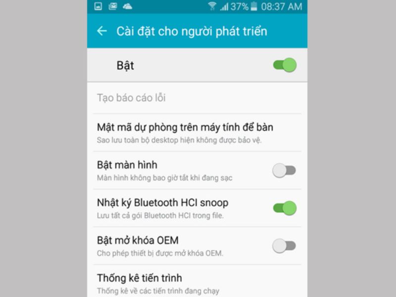 bật chế độ nhà phát triển để cập nhật bản beta