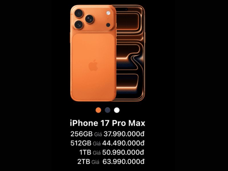 Phiên bản dung lượng của dòng Pro Max