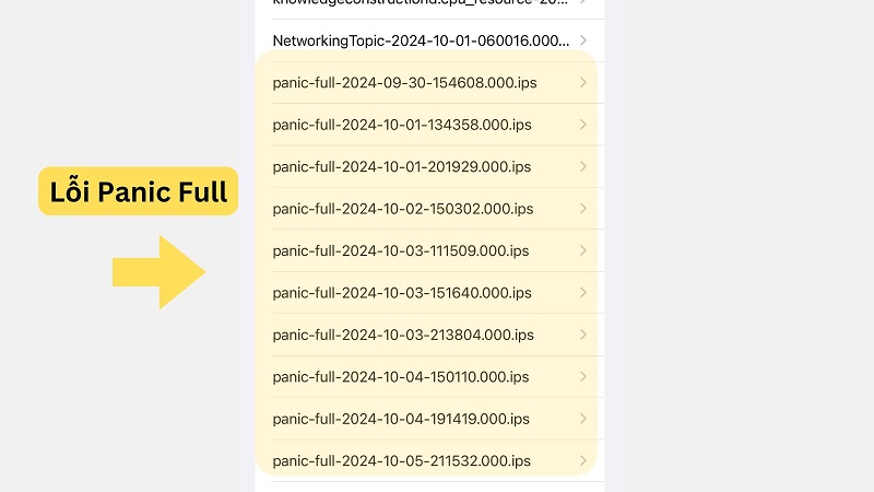 Nguyên nhân gây lỗi Panic Full trên iPhone 16