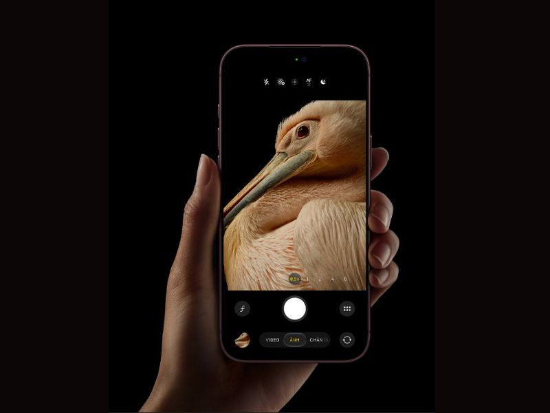 Kích thước iPhone 18 Pro Max có gì mới