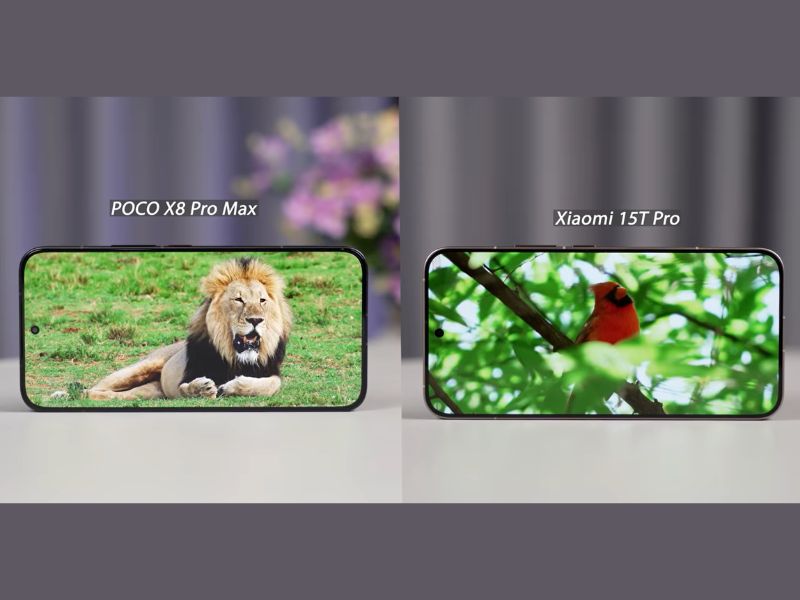 Màn hình POCO X8 Pro Max và Xiaomi 15T Pro