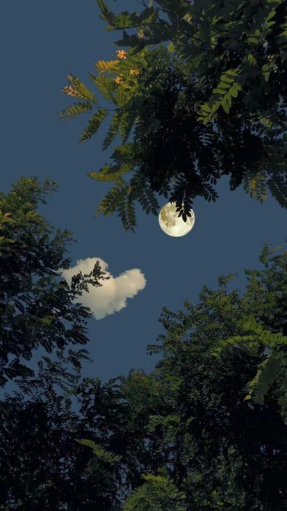 HÌnh nền Samsung Galaxy A37 mặt trăng thơ mộng