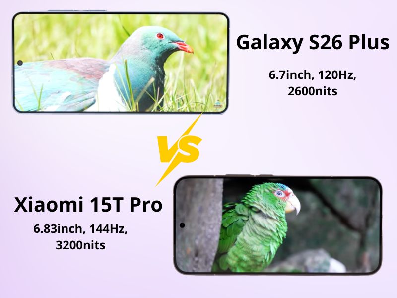Thiết kế màn hình Samsung Galaxy S26 Plus và Xiaomi 15T Pro