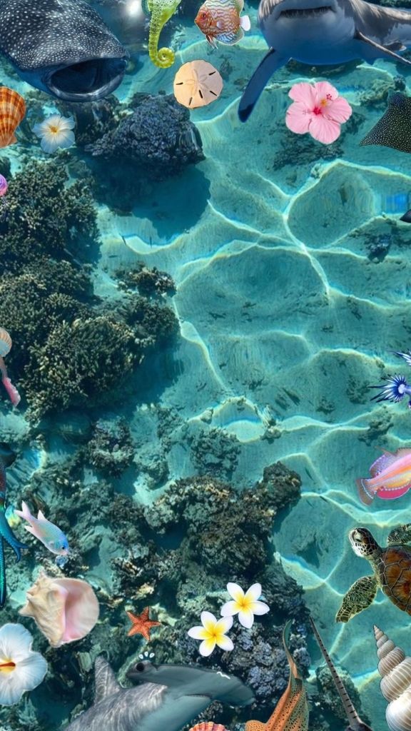 Hình nền Galaxy S26 Ultra chủ đề đại dương và biển cả