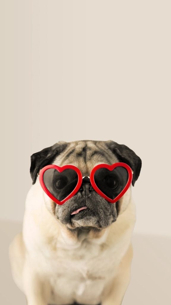 hình nền Samsung Galaxy S26 Ultra mặc định