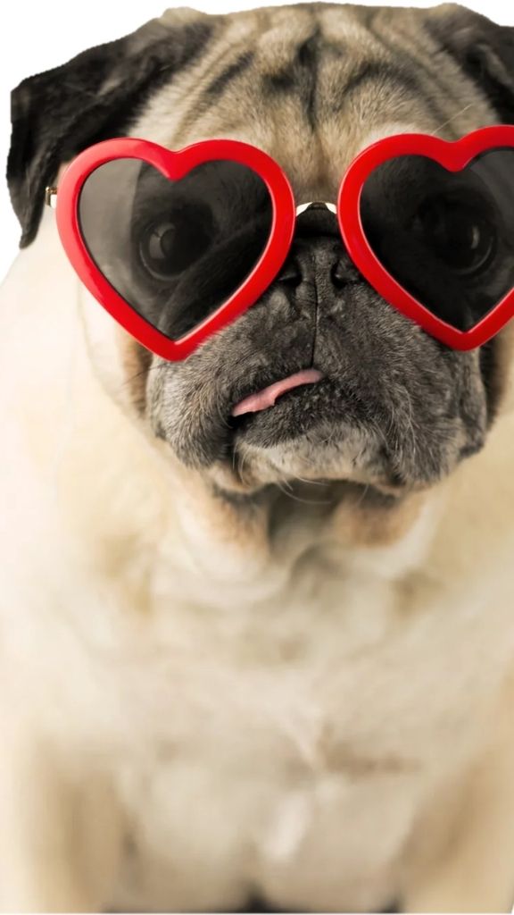 hình nền Samsung Galaxy S26 Ultra mặc định