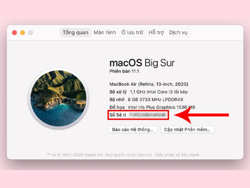 Tra cứu trong phần giới thiệu “About This Mac”