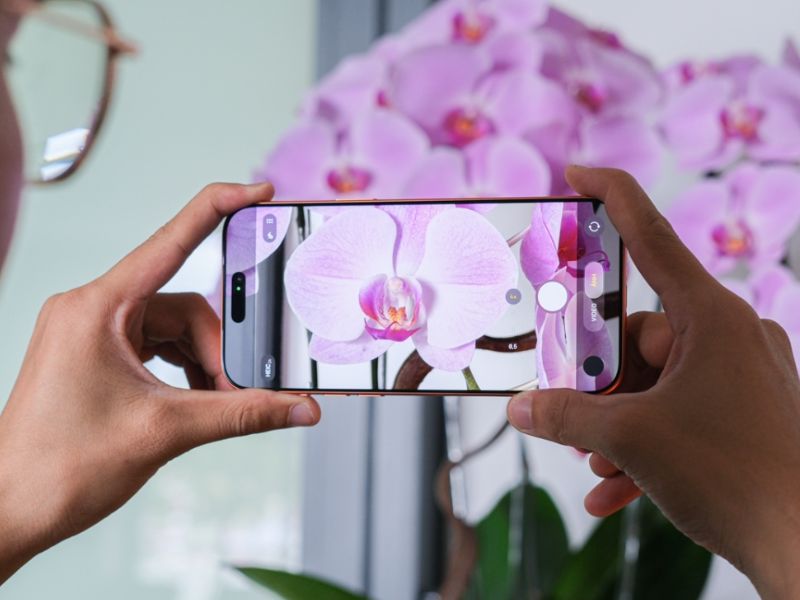 Ảnh chụp bằng iPhone 17 Pro Max
