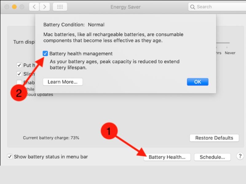 Battery Health