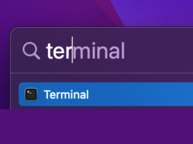 Terminal