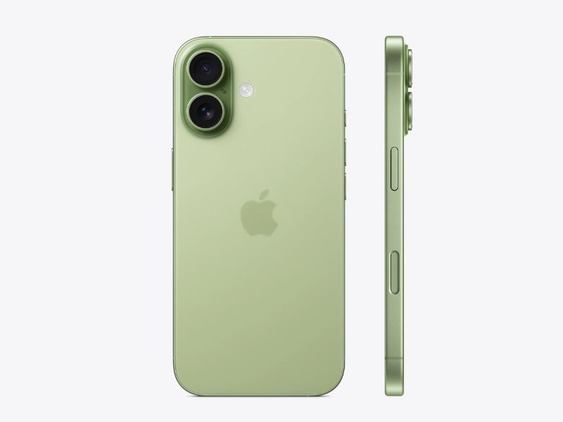 Có nên mua màu Sage Green chỉ vì hợp mệnh?