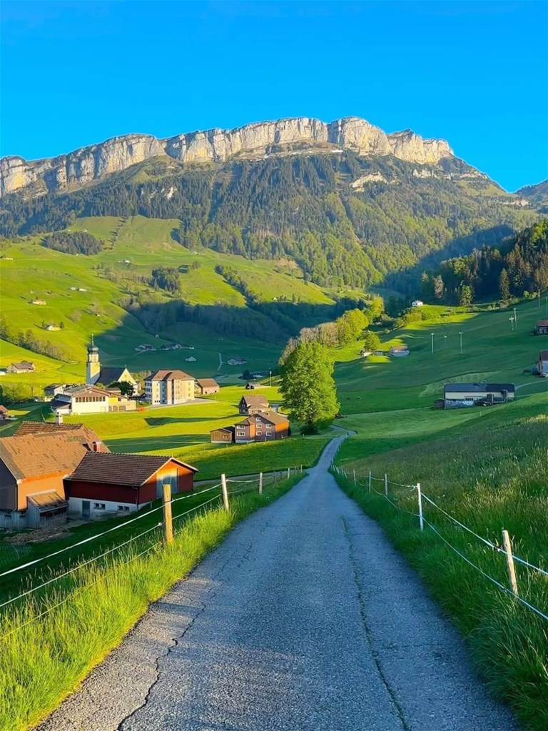 Hình nền iPad Pro M5 thiên nhiên rừng núi đẹp