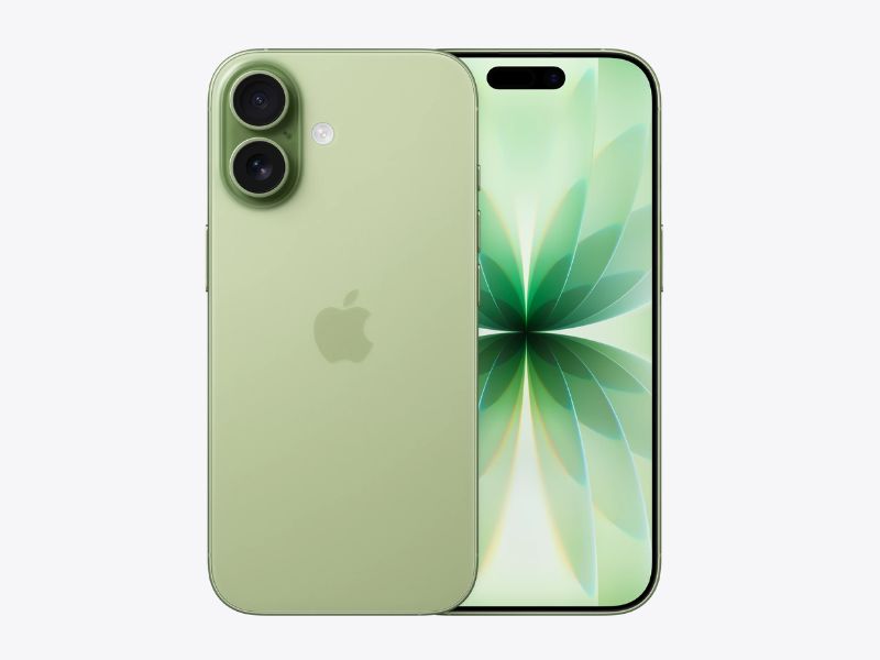 Những mệnh nào không hợp màu Sage Green