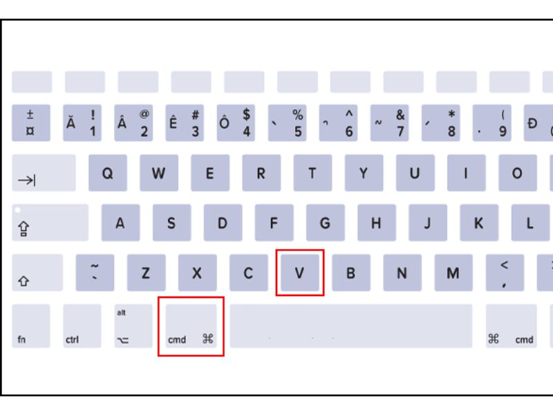 paste macbook