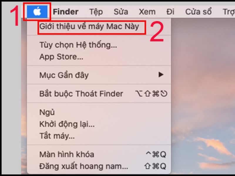Sử dụng Quản lý bộ nhớ (Storage Management): Nhấp vào biểu tượng Apple ở góc trên bên trái màn hình.