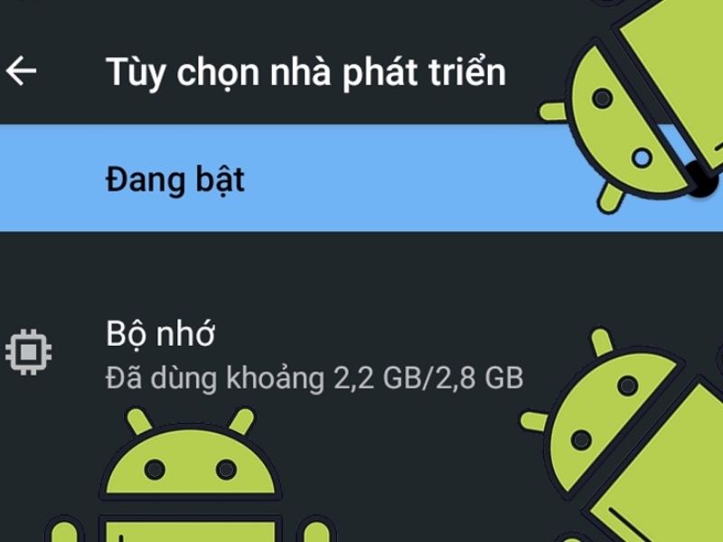 Có nên bật tùy chọn nhà phát triển không?