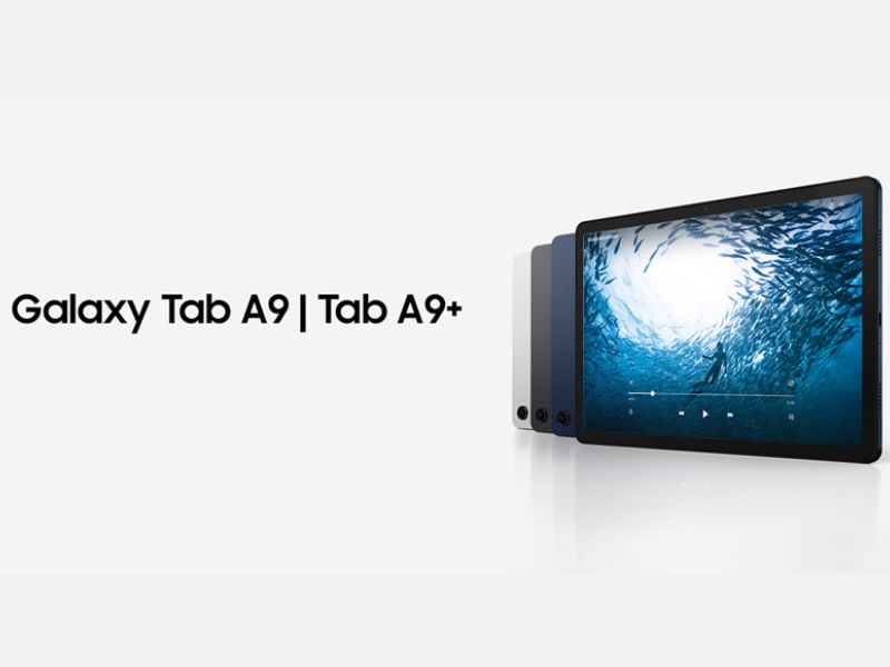 Phân loại rõ ràng từng phiên bản