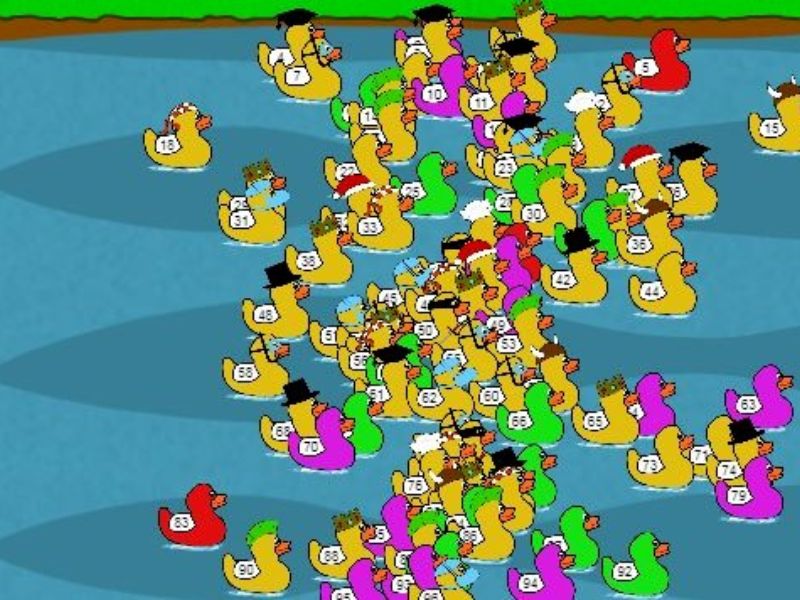 Các chế độ phổ biến của Duck Race