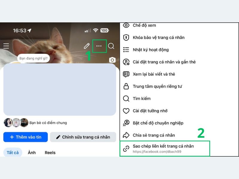 Hướng dẫn cách gửi link Facebook qua Zalo
