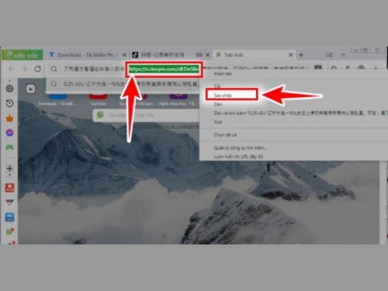 Dán link video Douyin trên thanh tìm kiếm