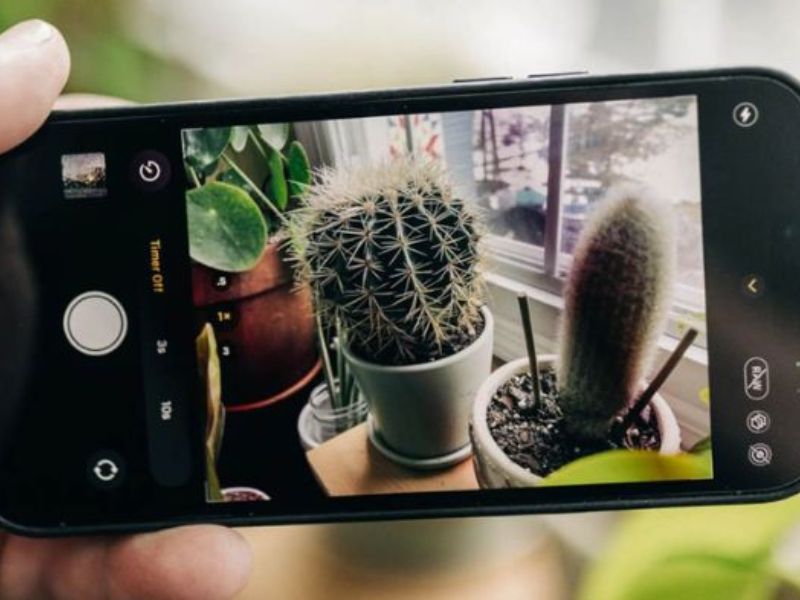 Mẹo dùng khóa sáng camera iPhone chụp ảnh đẹp hơn