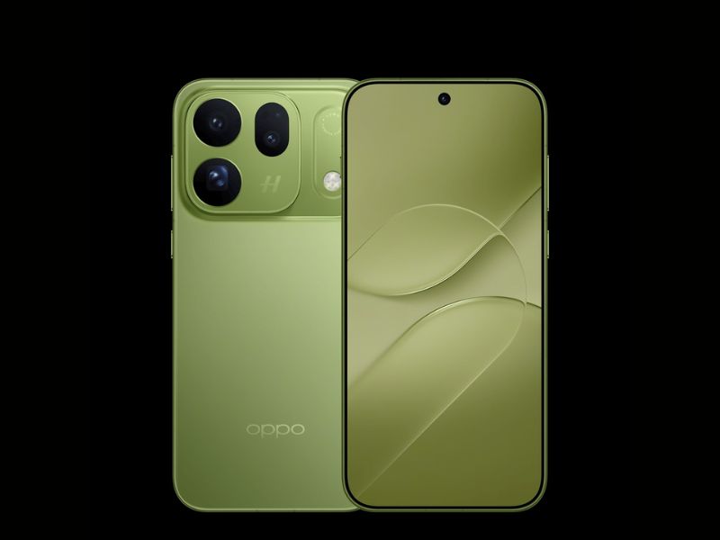 Sắc xanh Forest Green lấy cảm hứng từ thiên nhiên