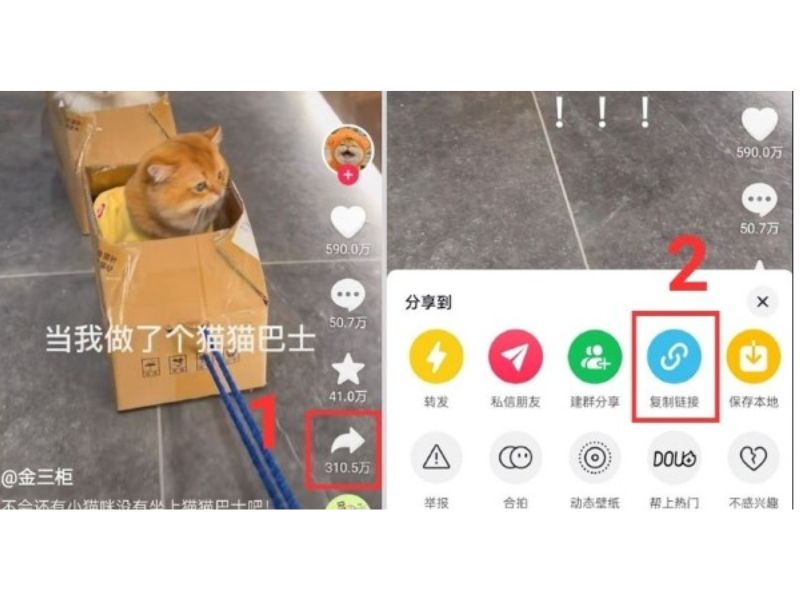 Hướng dẫn tải video Douyin không có logo qua ứng dụng