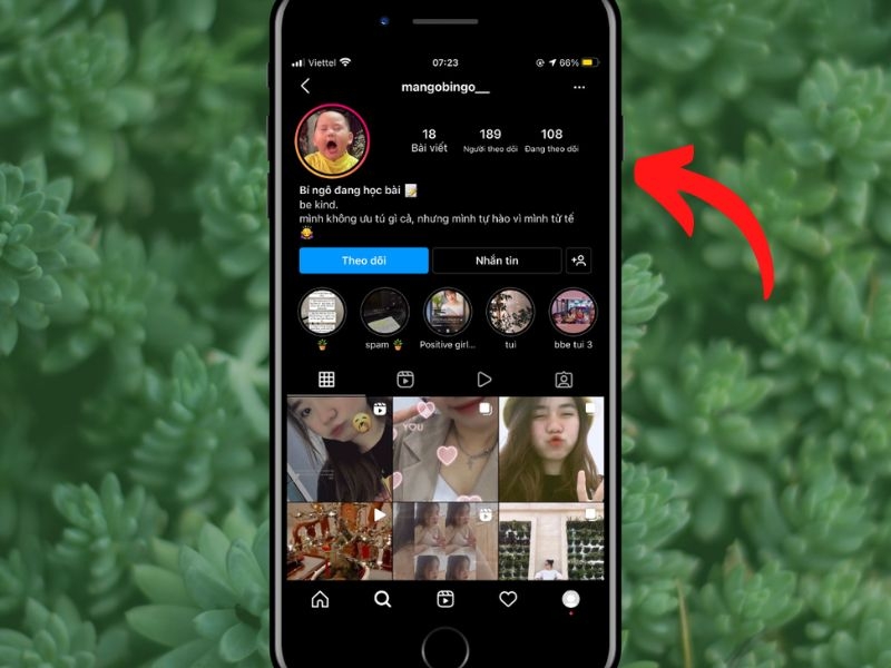 Cách xem Story IG ẩn danh nhanh, đơn giản nhất