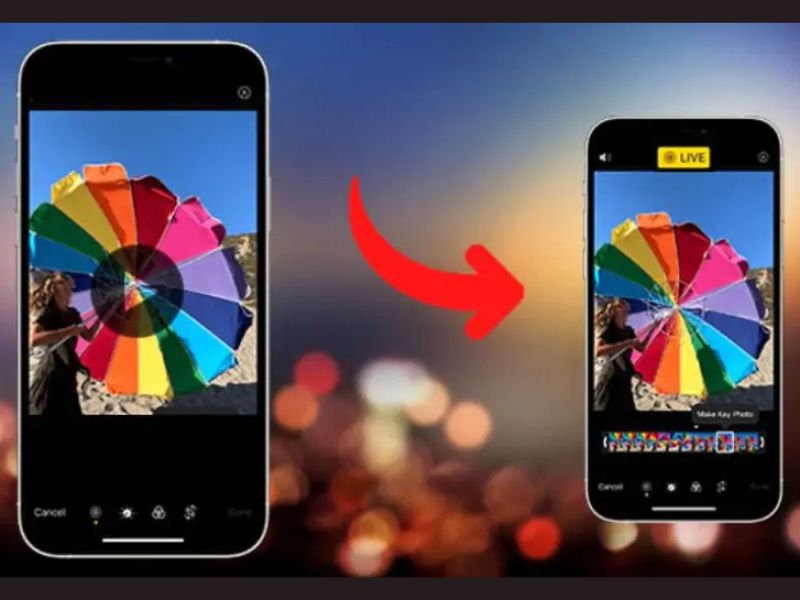 Chuyển video thành Live Photo trên iPhone, Android cực đơn giản