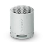 Loa không dây di động Sony SRS-XB100-58245