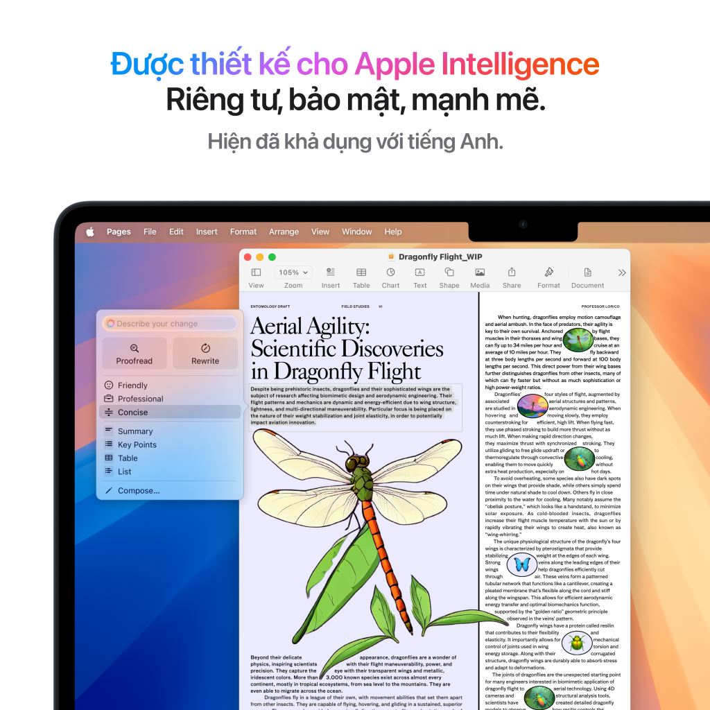 Macbook Air M4 13.6 Inches 10 CPU 8GPU 16GB 256GB - 1 đổi 1 12 tháng-55463